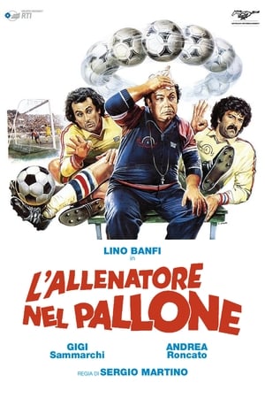 L'allenatore nel pallone poszter