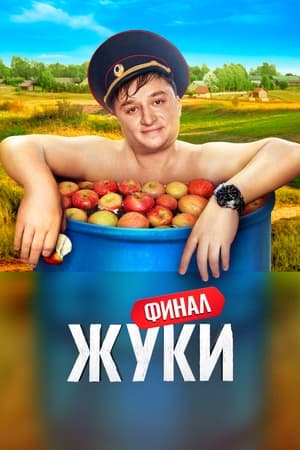 Жуки