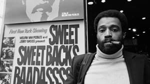 Naissance d'un héros noir au cinéma : Sweet Sweetback háttérkép