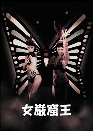 女巌窟王 poszter
