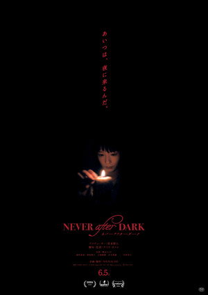 Never After Dark poszter