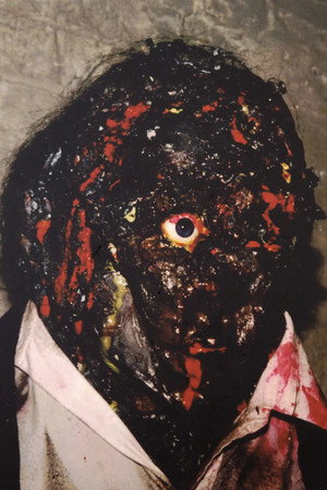 Flesh Freaks poszter