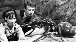 Doctor Who: Planet of Giants háttérkép