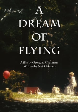 A Dream of Flying poszter