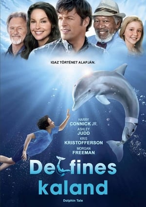 Delfines kaland