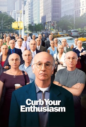 Larry David: Curb Your Enthusiasm poszter