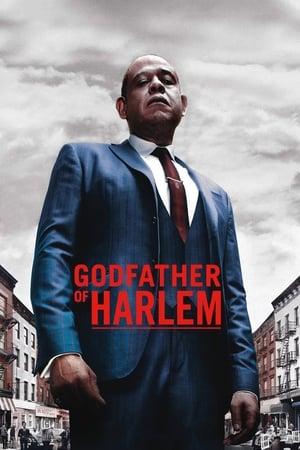 Godfather of Harlem poszter