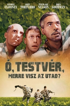 Ó, testvér, merre visz az utad?