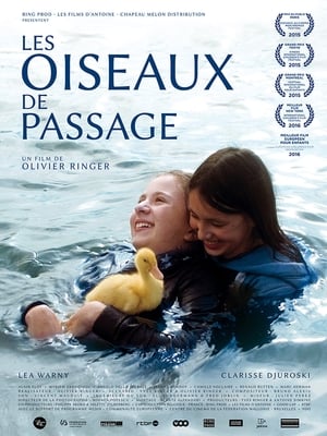 Les oiseaux de passage