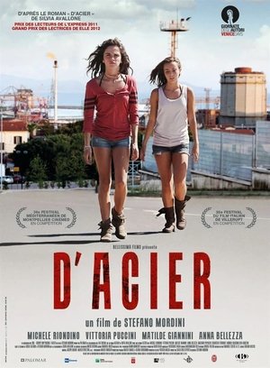 Acciaio poszter