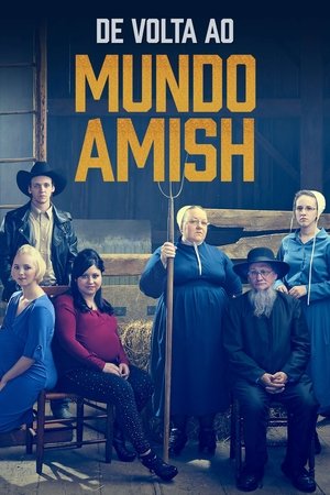Return to Amish poszter