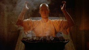 Kung Fu kép