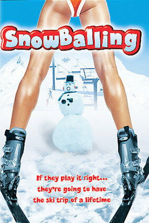 Snowballing poszter