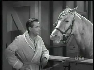 Mister Ed 5. évad Ep.7 7. epizód