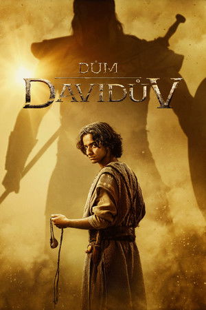 Dávid háza poszter
