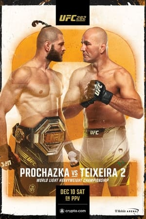 UFC 282: Blachowicz vs. Ankalaev poszter