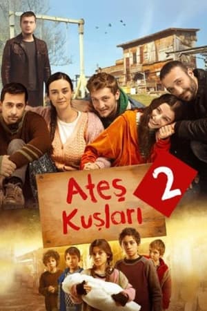 Ateş Kuşları