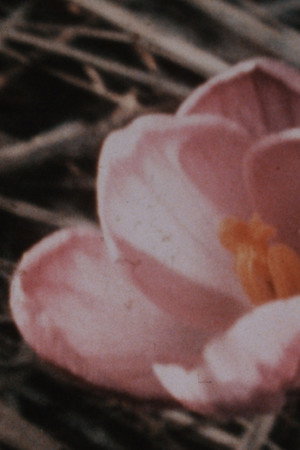 Kumbum 1+1 (1975-1987)