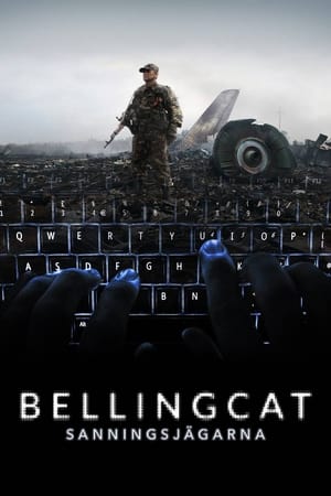 Bellingcat: Truth in a Post-Truth World poszter