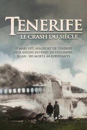 Airline Disaster: Crash of the Century poszter