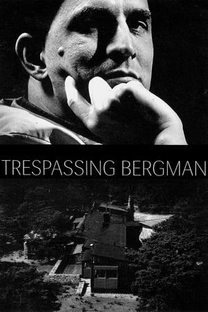 Trespassing Bergman poszter