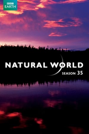 Natural World