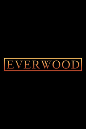 Everwood poszter