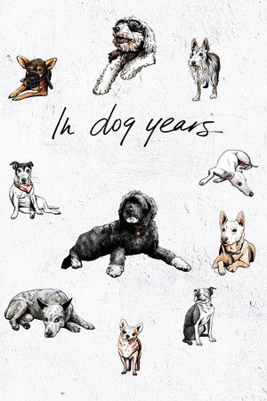 In Dog Years poszter