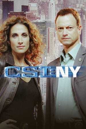 CSI: New York-i helyszínelők poszter