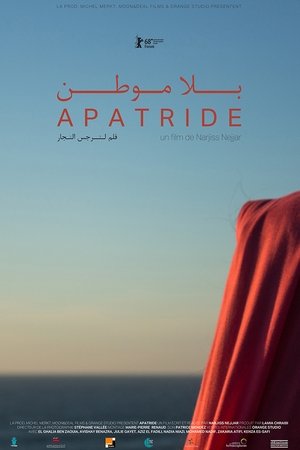 بلا موطن