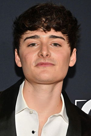 Noah Schnapp profil kép