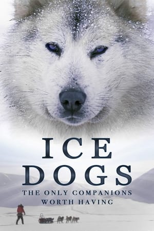 Ice Dogs: The Only Companions Worth Having poszter