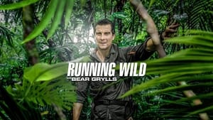 Bear Grylls: Sztárok a vadonban kép