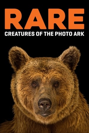 Rare: Creatures of the Photo Ark poszter