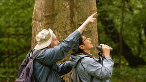 Birders: The Central Park Effect háttérkép