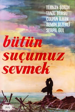 Bütün Suçumuz Sevmek poszter