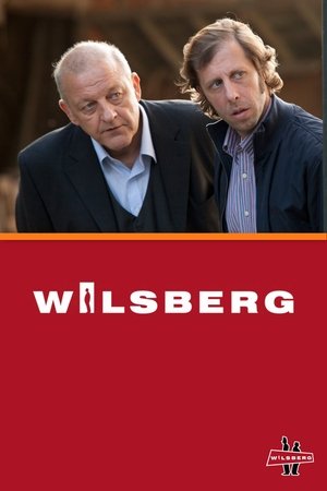 Wilsberg