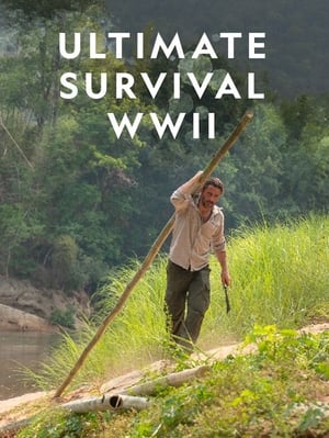 Ultimate Survival WWII poszter