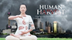 Human Harvest háttérkép