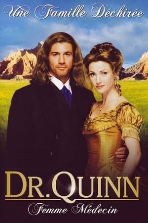 Dr. Quinn Medicine Woman: The Movie poszter