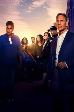 NCIS: New Orleans poszter