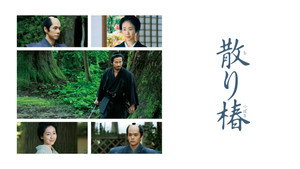 散り椿 háttérkép