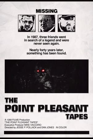 The Point Pleasant Tapes poszter