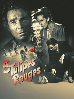5 tulipes rouges poszter