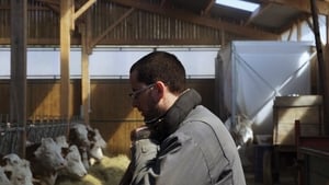 Cyrille, agriculteur, 30 ans, 20 vaches, du lait, du beurre, des dettes háttérkép