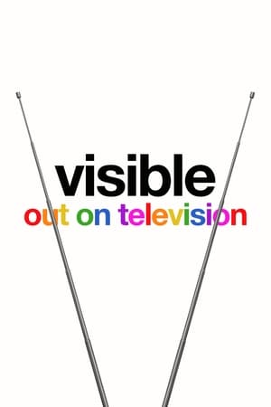 Visible: Out on Television poszter