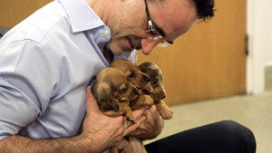 The Supervet: Noel Fitzpatrick 15. évad Ep.6 6. epizód