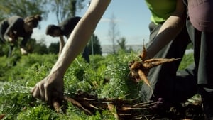 La ferme et son état háttérkép