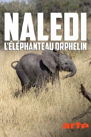 Naledi: A Baby Elephant's Tale poszter