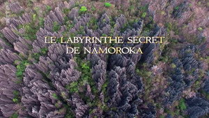 Le labyrinthe secret de Namoroka kép